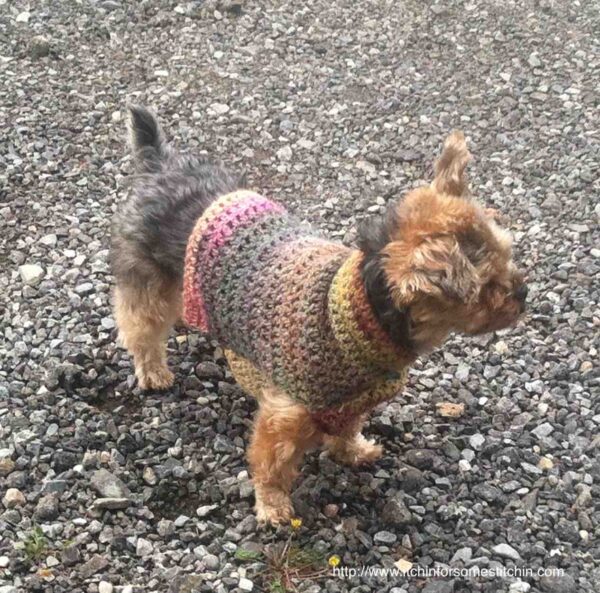 Quick and Easy Dog Jacket Pattern by https://www.itchinforsomestitchin.com