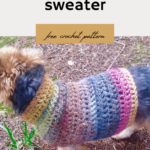 Crochet Dog Sweater Pattern by Itchin' for some Stitchin'
