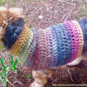 Quick and Easy Small Dog Sweater Pattern by http//www.itchinforsomestitchin.com