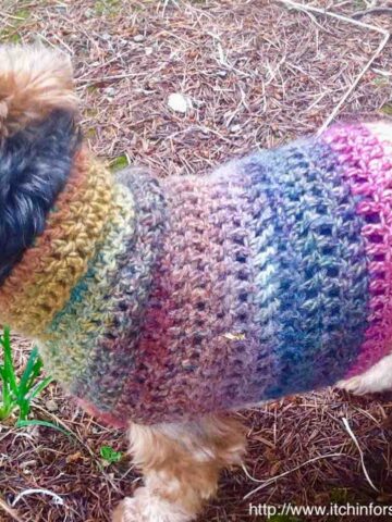 Quick and Easy Small Dog Sweater Pattern by http//www.itchinforsomestitchin.com