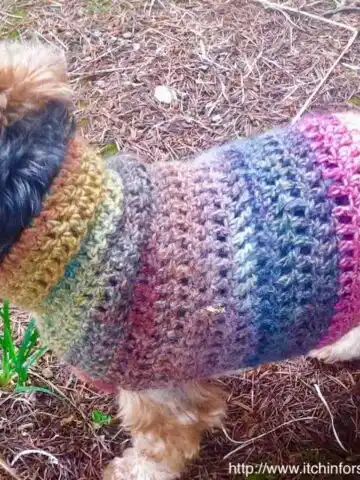 Quick and Easy Small Dog Sweater Pattern by http//www.itchinforsomestitchin.com