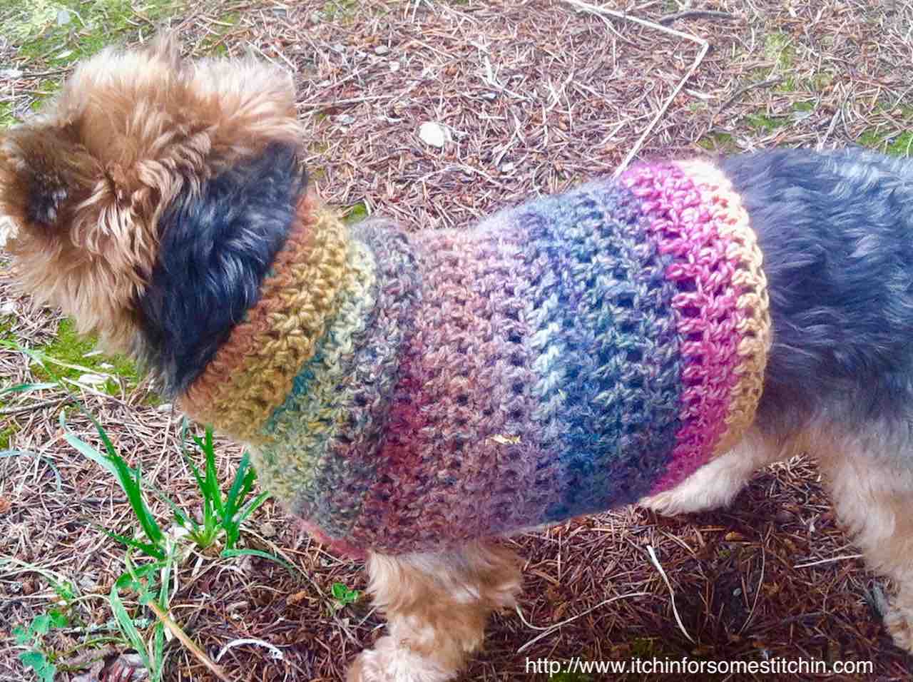 Quick and Easy Small Dog Crochet Sweater Free Pattern