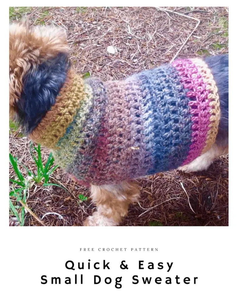 Quick and Easy Small Dog Crochet Sweater: Free Pattern