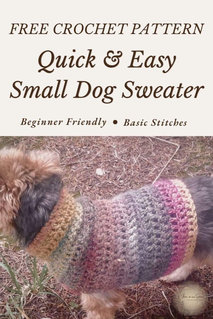 Small dog wearing a quick and easy crochet dog sweater made with basic crochet stitches.