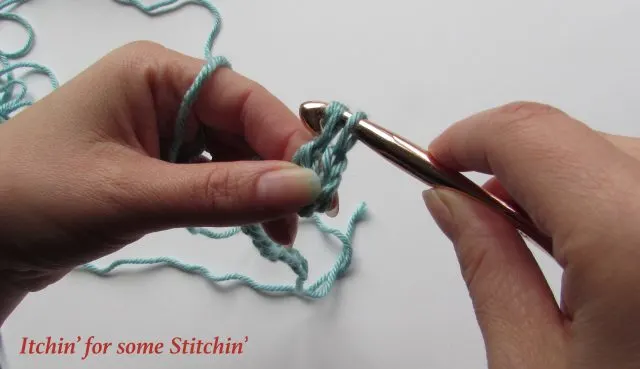 How to Double Crochet_Step 9. http://www.itchinforsomestitchin.com