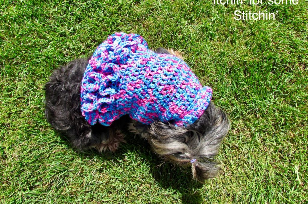 Ruffled Small Dog Sweater Pattern by www.itchinforsomestitchin.com