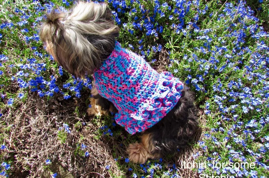 Small Dog Sweater with Ruffles Pattern by www.itchinforsomestitchin.com