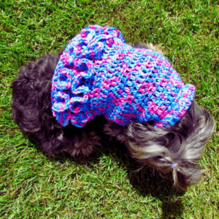 Crochet Ruffled Small Dog Sweater in blue and pink