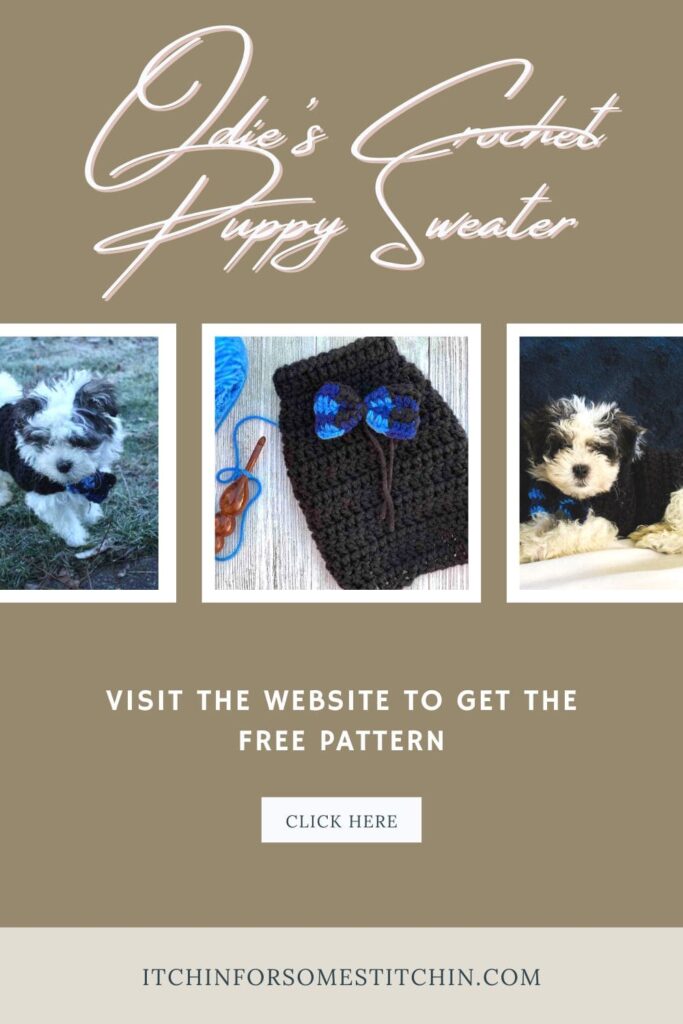 Trio of Black Crochet Puppy Sweaters with Blue Plaid Bowties_pinterest pin 1