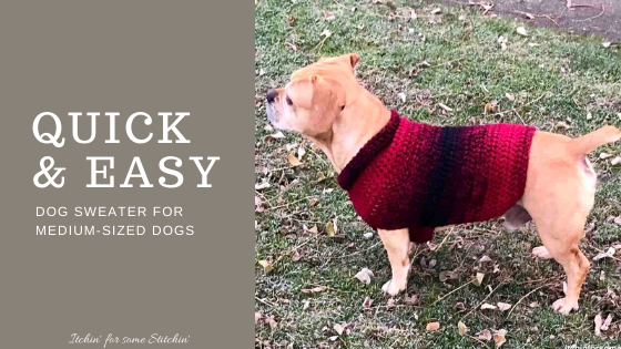 medium sized dog sweaters
