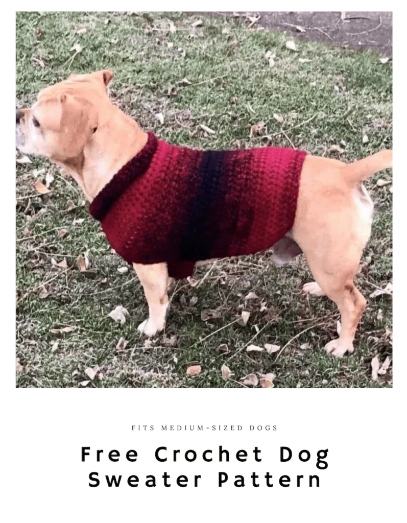 Free Crochet Dog Sweater Pattern for Medium Sized Dogs