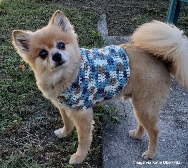 Dog sweater Pattern by Itchin' for some Stitchin'