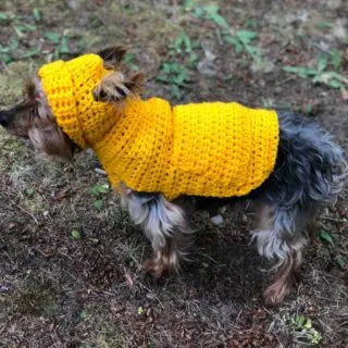 Crochet dog outlet jacket