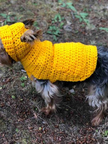 Small Dog Hoodie Sweater Pattern by itchinforsomestitchin.com
