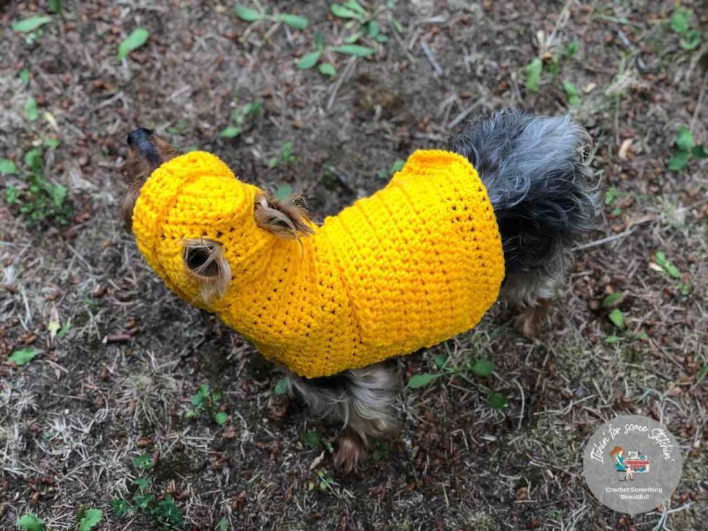 Small dog hoodie