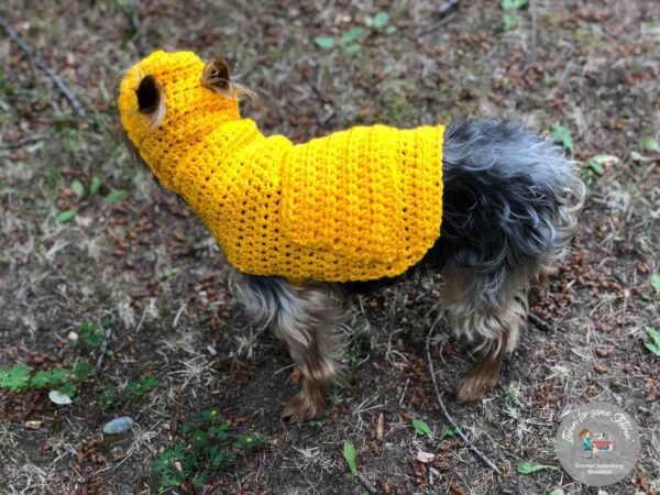 Crochet Dog Hoodie Sweater: Free Pattern for Small Dogs