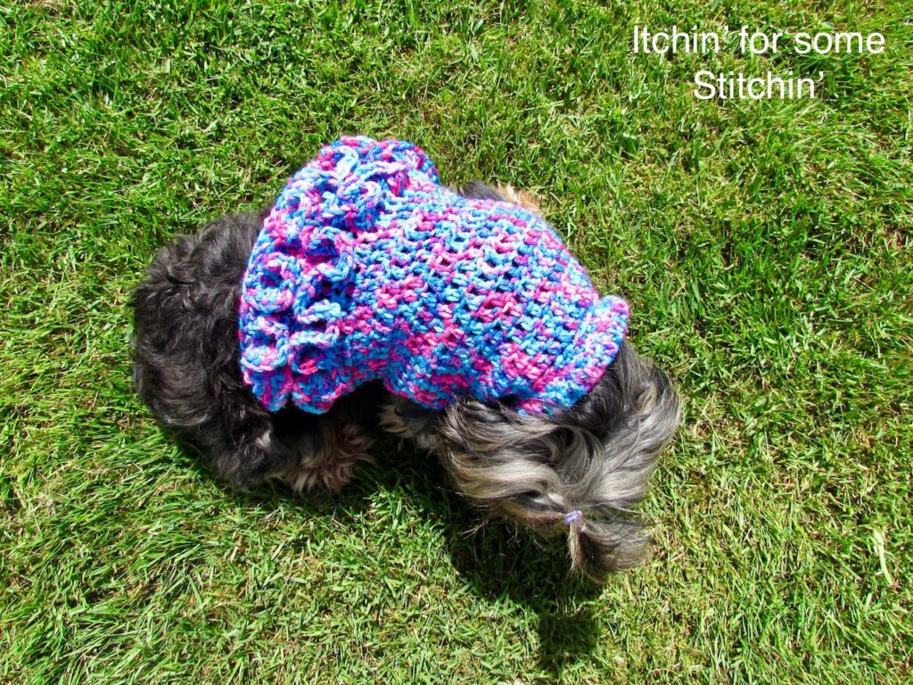 Crochet Small Dog Sweater with Ruffles
