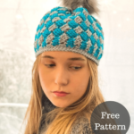 Winter Waves Crochet Beanie Hat - Free Pattern