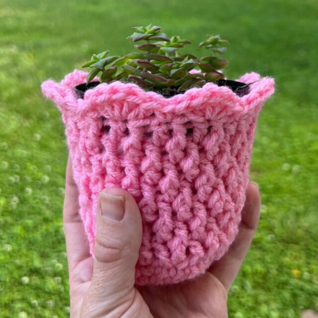Cozy Alpine Plant Cover by Juniper and Oakes