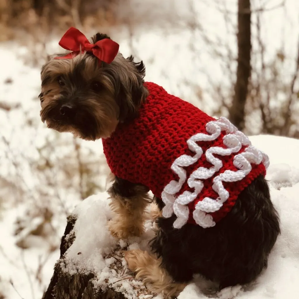 Crochet Dog Sweater with Ruffles Free Pattern