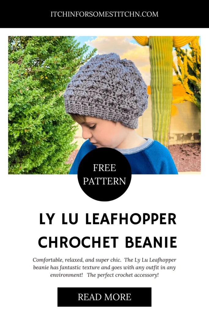 Free Crochet Pattern: Leafhopper Beanie with Leaf-Inspired Cluster