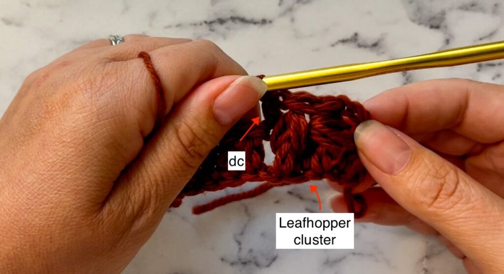 Leafhopper Cluster Stitch Step 20