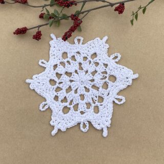 Crochet Snowflake 4 - Frosted Elegance