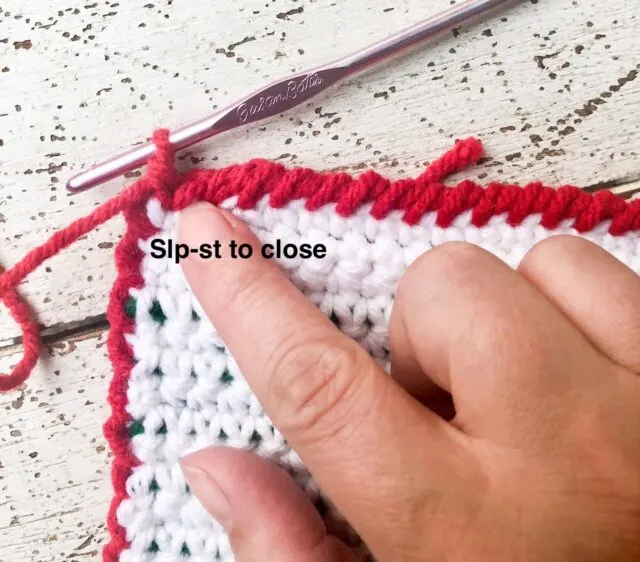 Holly Berry Tapestry Crochet Potholder - Slp st to close edging