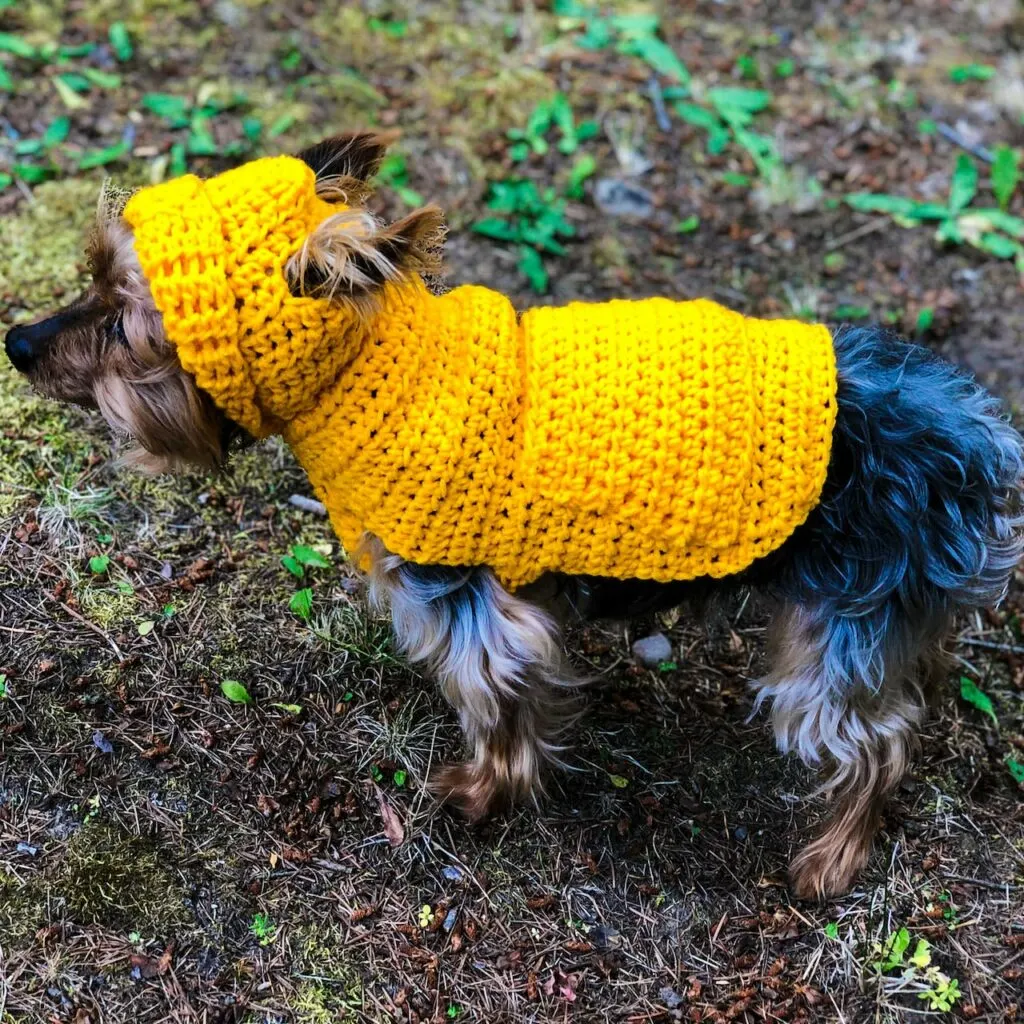 Jack's Crochet Small Dog Hoodie Sweater
