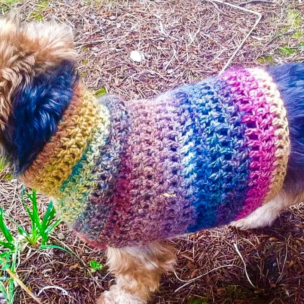 Quick and Easy Small Dog Crochet Sweater