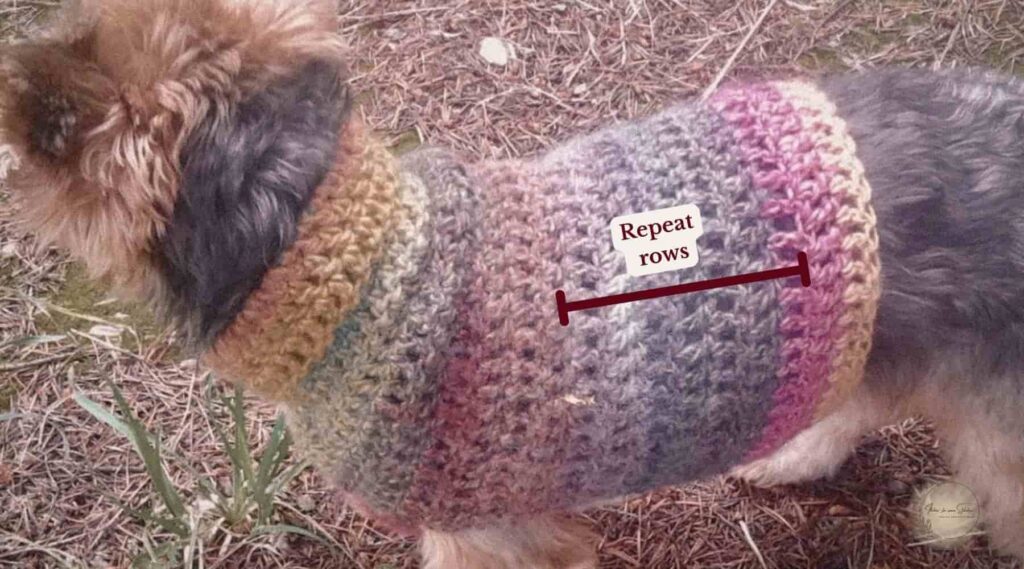 Small dog wearing a colorful crochet dog sweater made with repeat rows from a small dog sweater pattern.