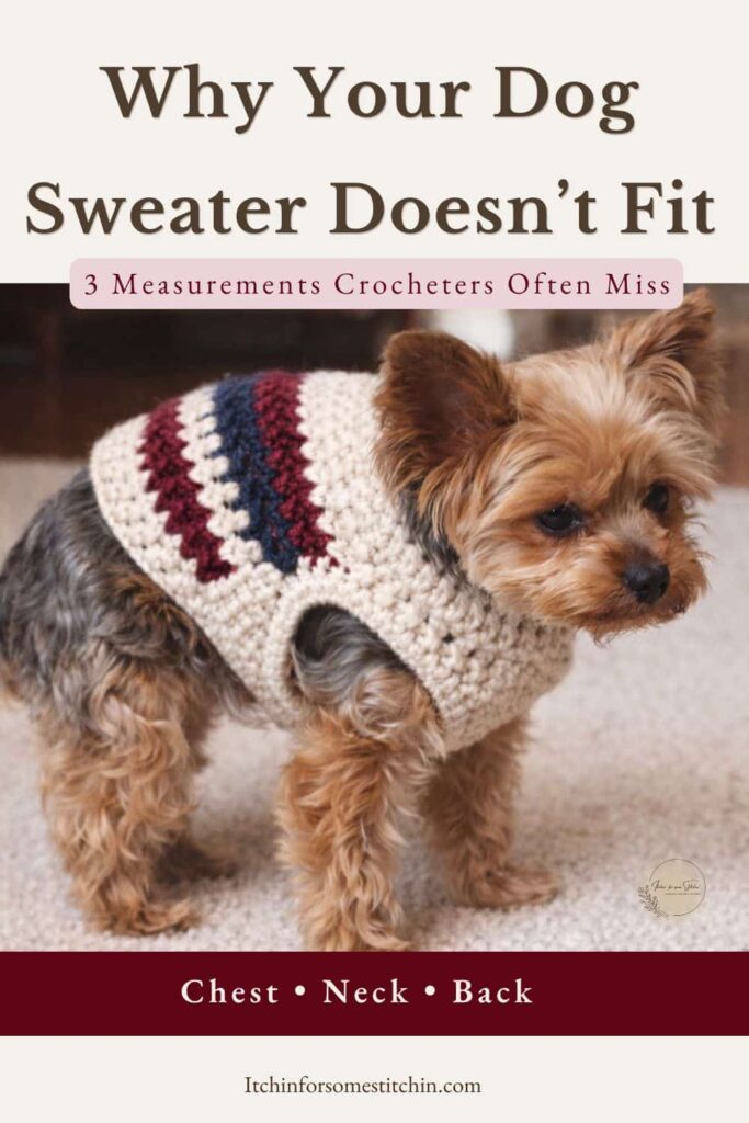 Yorkshire Terrier wearing a crochet dog sweater that doesn't fit properly, demonstrating why measuring neck girth, chest girth, and back length is important when making a crochet dog sweater.